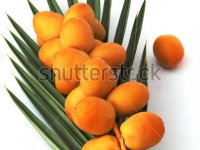 منتج تمر 7 